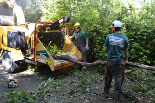 tree services Montpelier